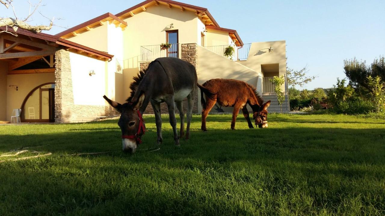 Agriturismo Frantoio Mafrica Limbadi Zewnętrze zdjęcie